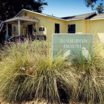 Audubon House