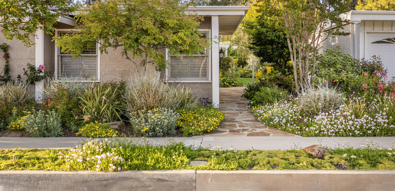Drought-Proof Curb Appeal